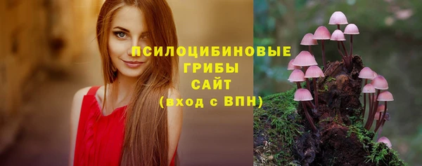 дживик Володарск