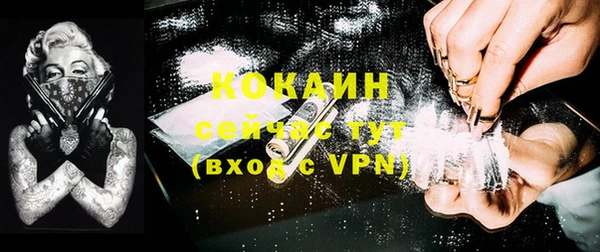 дживик Володарск