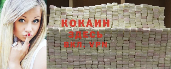 дживик Володарск