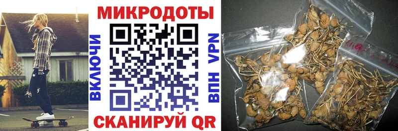 Купить закладки  Валуйки  Псилоцибиновые грибы MAGIC MUSHROOMS 